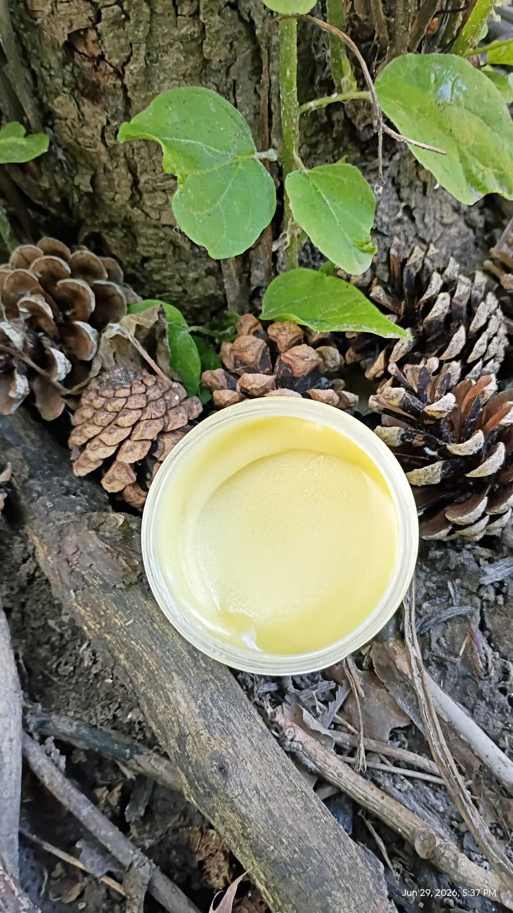 Rosemary-Yarrow Body Butter