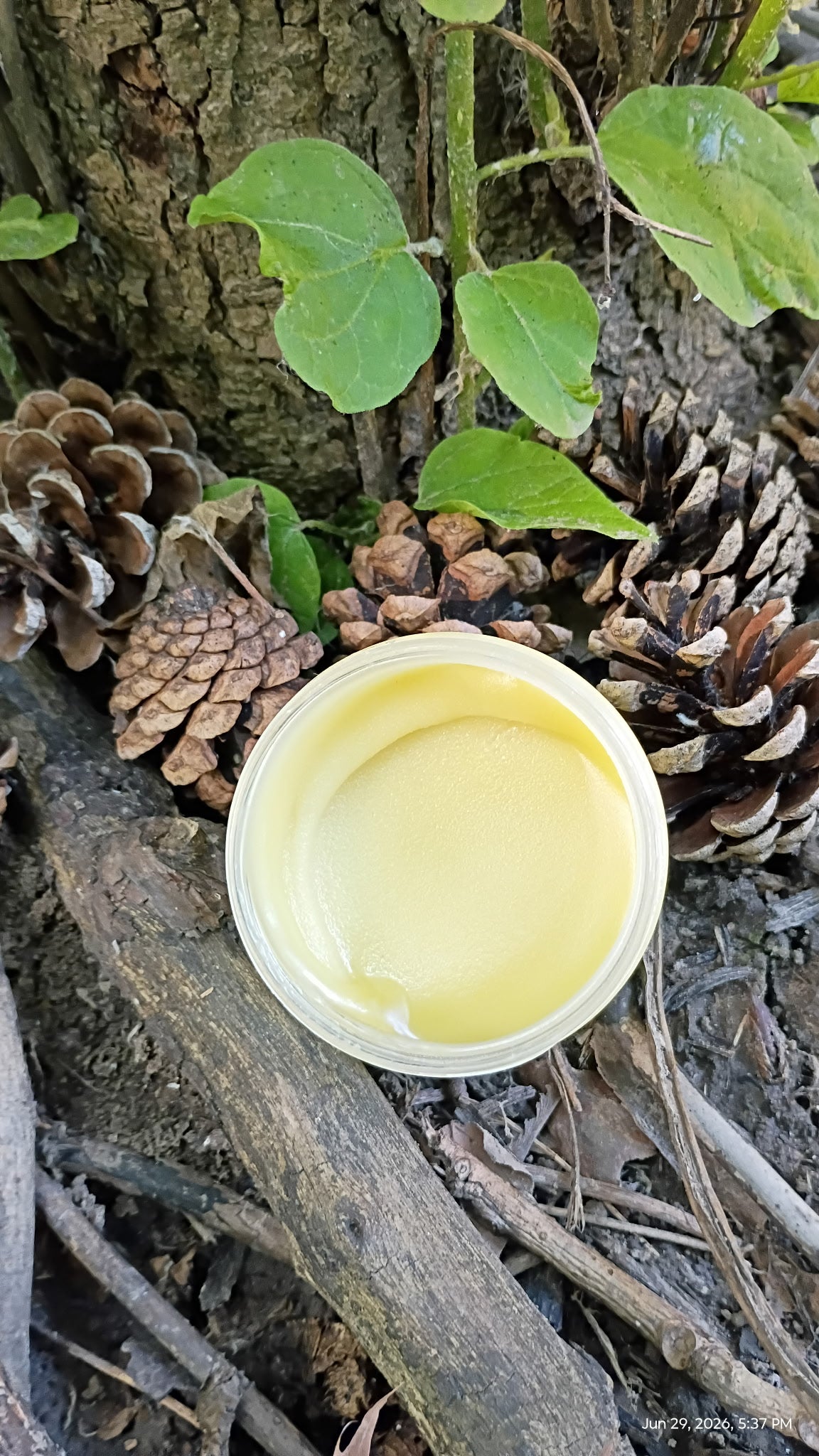 Rosemary-Yarrow Body Butter